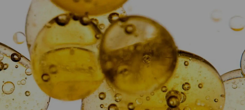 Omega 3-6-9